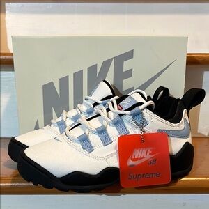 Nike SB Darwin Low - FQ3000